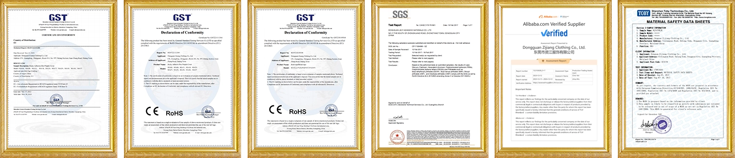CERTIFICATE zoralinkcom