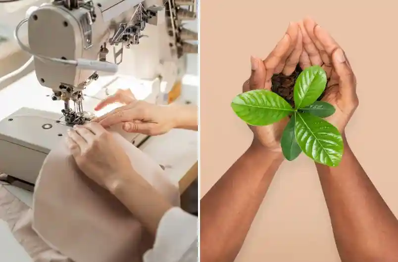 Sustainable Lingerie Suppliers Ethical EcoFriendly Fashion02 zoralinkcom A split image showing hands sewing fabric on a machine on the left and hands cradling a green plant on the right representing the blend of craftsmanship and sustainability in lingerie production by suppliers